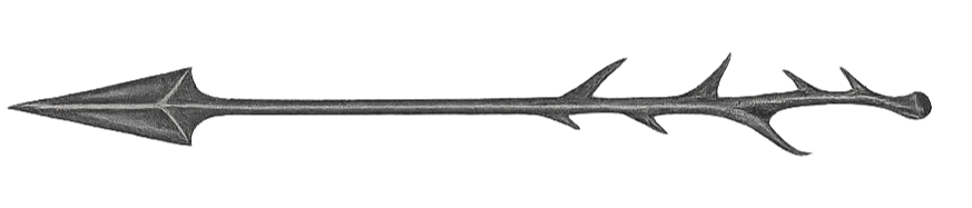 arrow icon